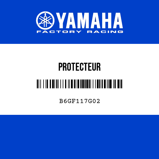 PROTECTEUR