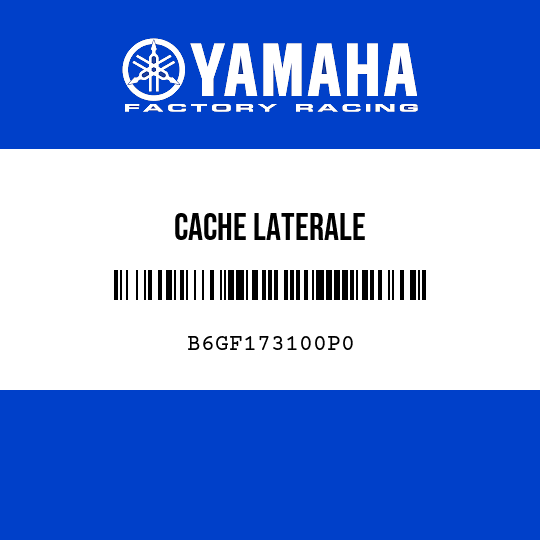 CACHE LATERALE