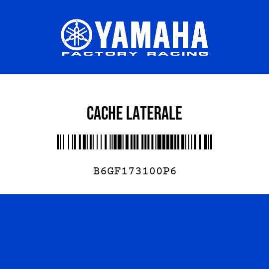 CACHE LATERALE