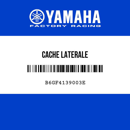 CACHE LATERALE