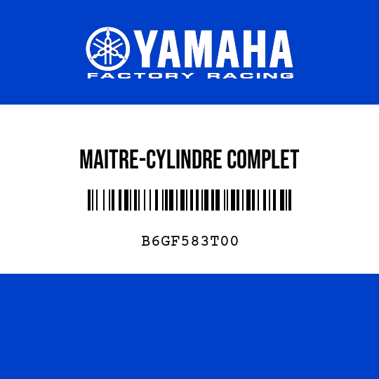 MAITRE-CYLINDRE COMPLET