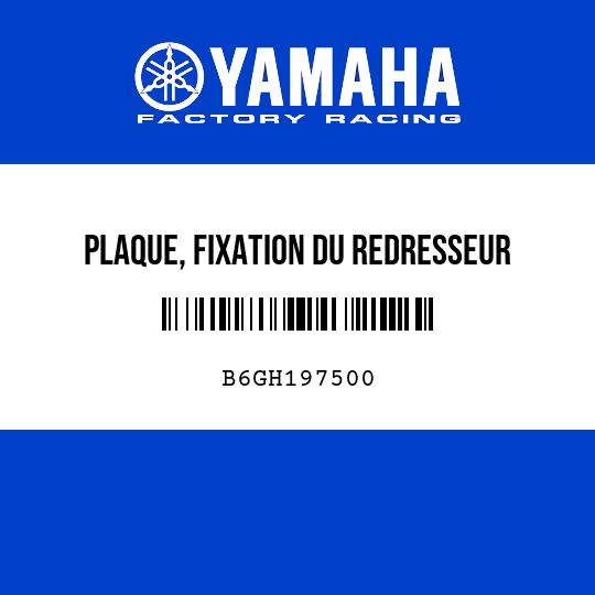 PLAQUE, FIXATION DU REDRESSEUR