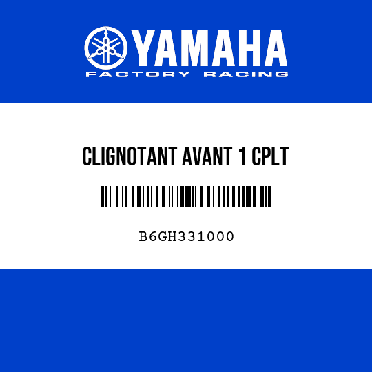 CLIGNOTANT AVANT 1 CPLT