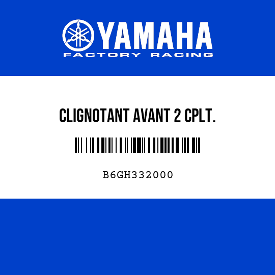 CLIGNOTANT AVANT 2 CPLT.