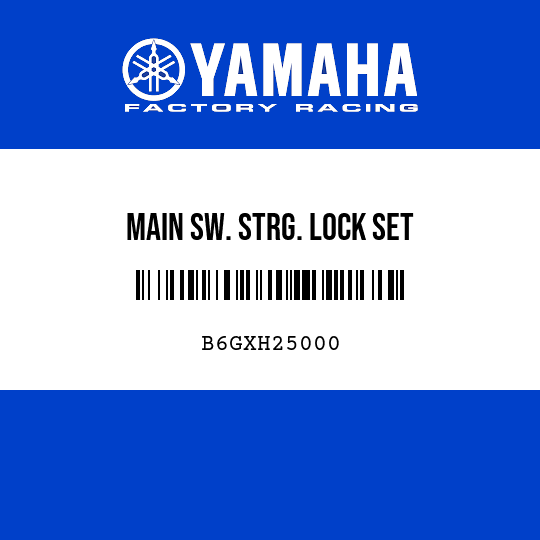 MAIN SW. STRG. LOCK SET