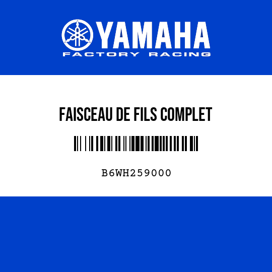 FAISCEAU DE FILS COMPLET
