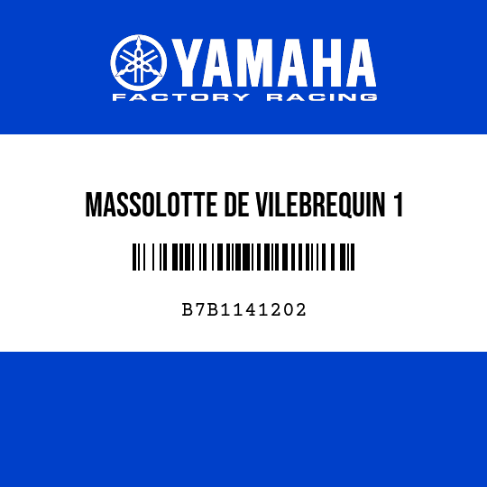 MASSOLOTTE DE VILEBREQUIN 1