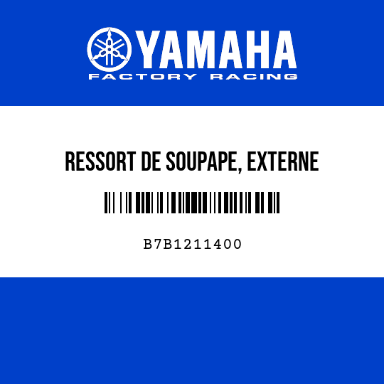 RESSORT DE SOUPAPE, EXTERNE