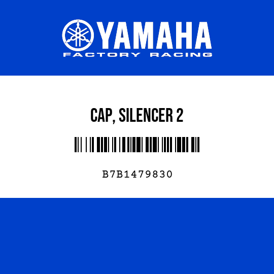 CAP, SILENCER 2