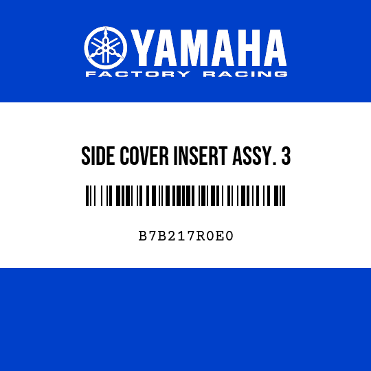 SIDE COVER INSERT ASSY. 3
