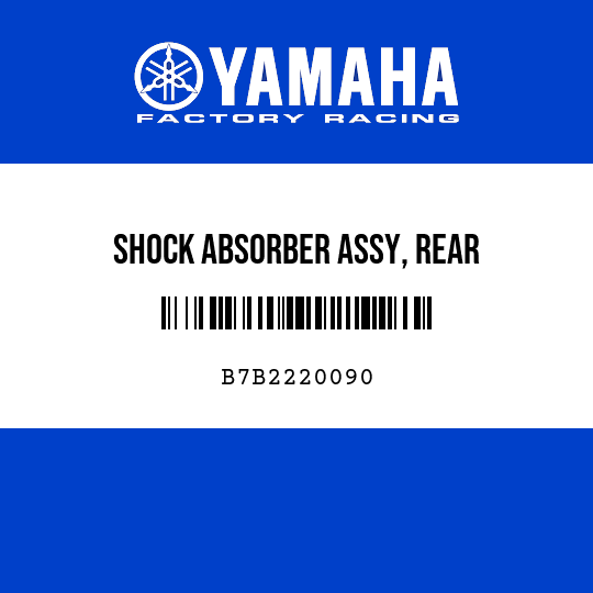 SHOCK ABSORBER ASSY, REAR