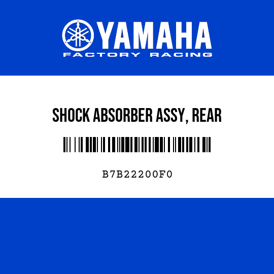 SHOCK ABSORBER ASSY, REAR