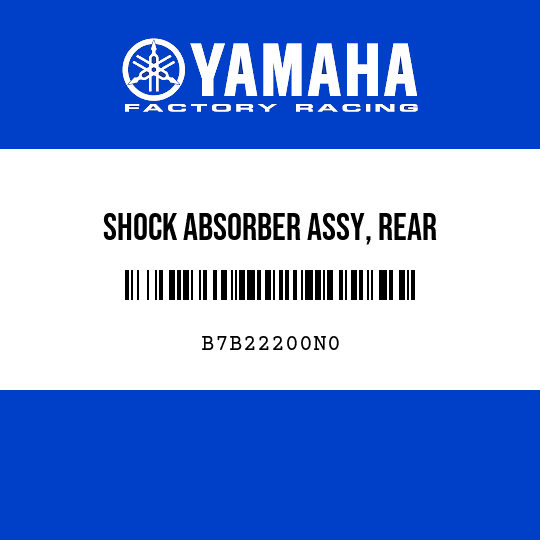 SHOCK ABSORBER ASSY, REAR