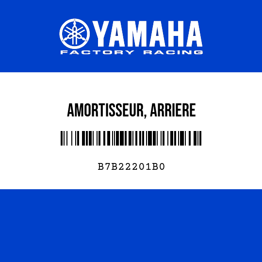AMORTISSEUR, ARRIERE