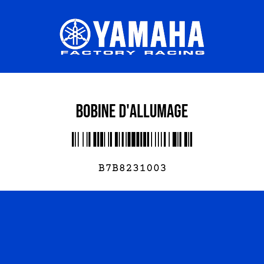 BOBINE D'ALLUMAGE