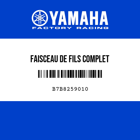 FAISCEAU DE FILS COMPLET