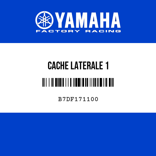 CACHE LATERALE 1