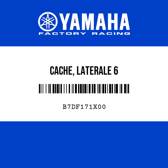 CACHE, LATERALE 6