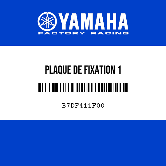 PLAQUE DE FIXATION 1