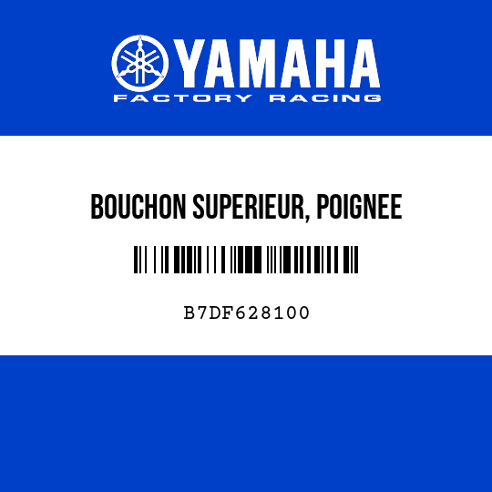 BOUCHON SUPERIEUR, POIGNEE