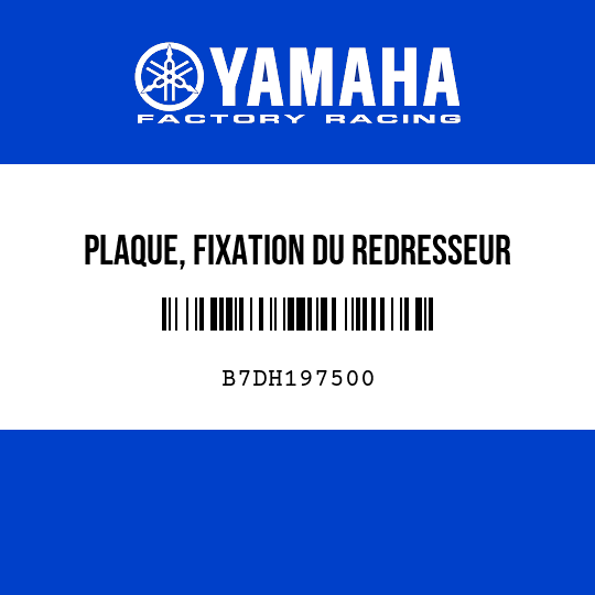 PLAQUE, FIXATION DU REDRESSEUR
