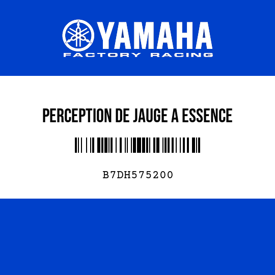 PERCEPTION DE JAUGE A ESSENCE