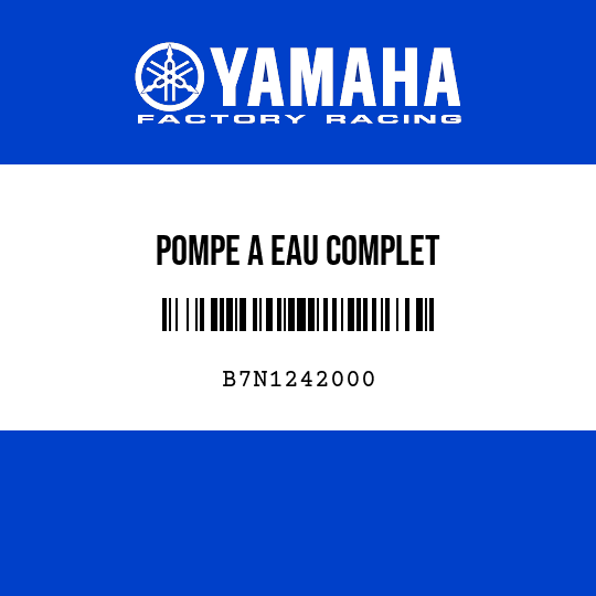 POMPE A EAU COMPLET