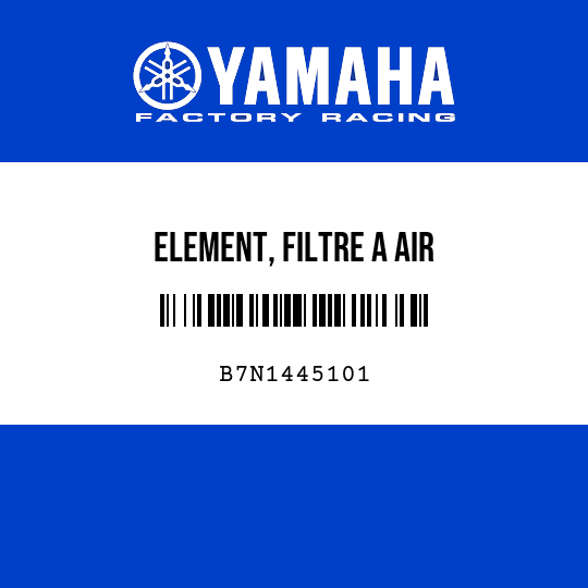 ELEMENT, FILTRE A AIR