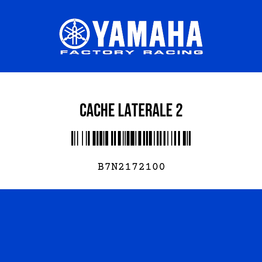 CACHE LATERALE 2