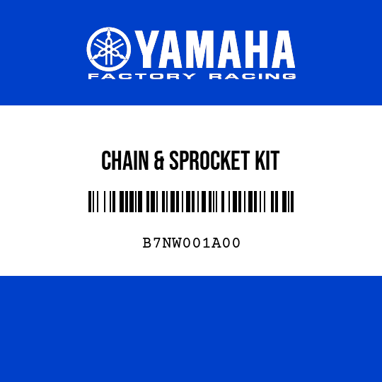 CHAIN & SPROCKET KIT
