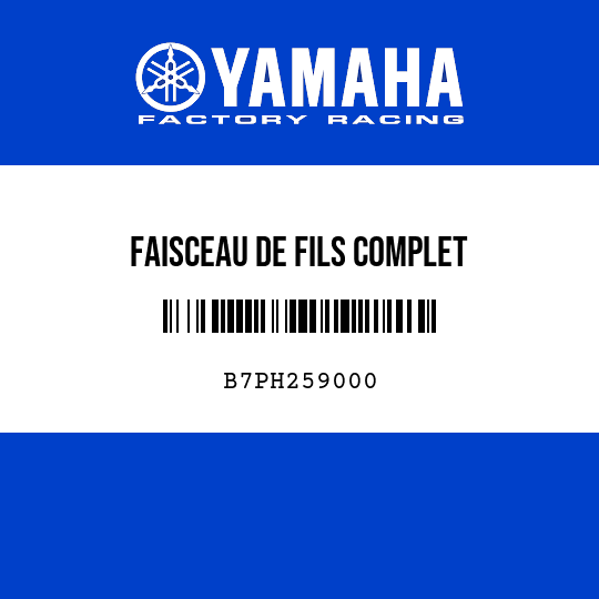 FAISCEAU DE FILS COMPLET
