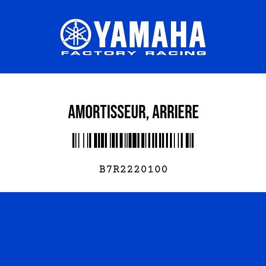 AMORTISSEUR, ARRIERE
