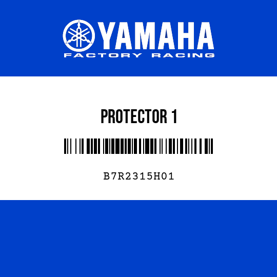 PROTECTOR 1