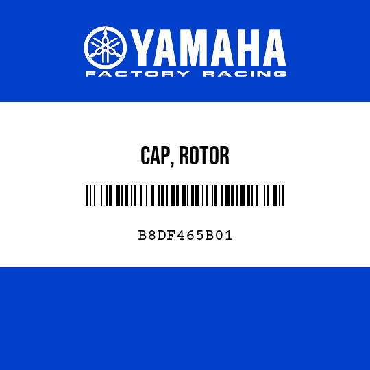 CAP, ROTOR