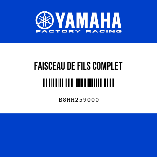 FAISCEAU DE FILS COMPLET
