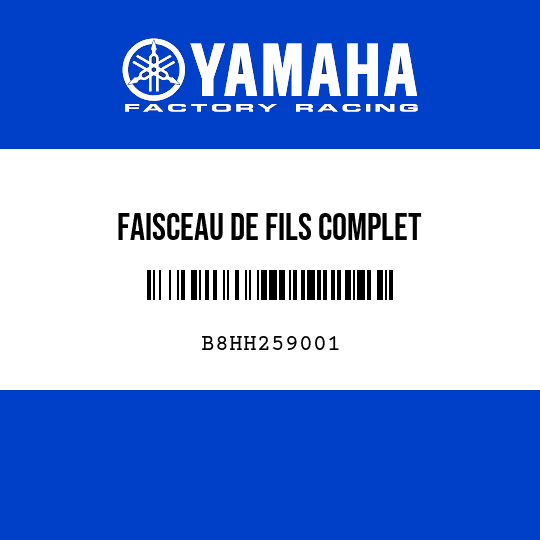 FAISCEAU DE FILS COMPLET