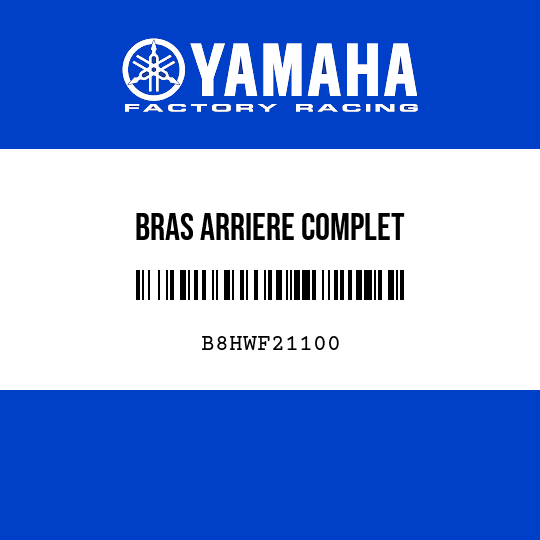 BRAS ARRIERE COMPLET