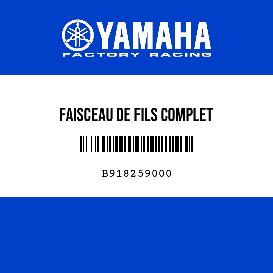 FAISCEAU DE FILS COMPLET
