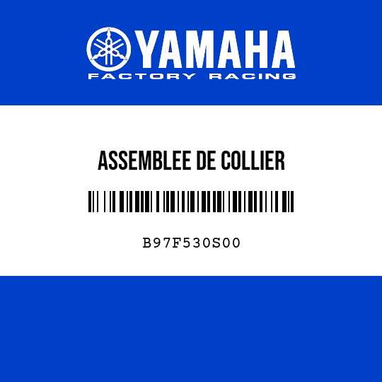 ASSEMBLEE DE COLLIER