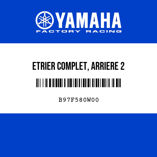 ETRIER COMPLET, ARRIERE 2