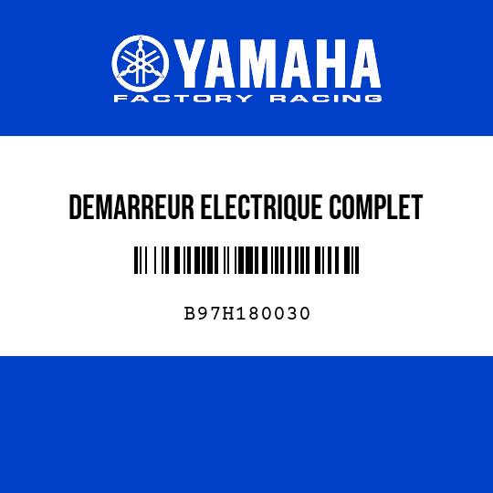 DEMARREUR ELECTRIQUE COMPLET