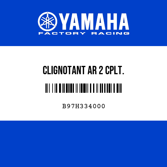 CLIGNOTANT AR 2 CPLT.