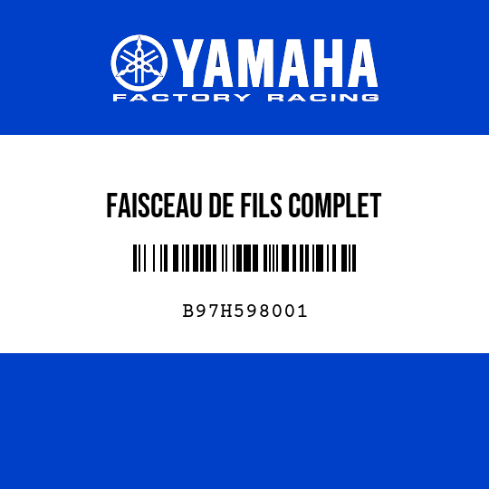 FAISCEAU DE FILS COMPLET