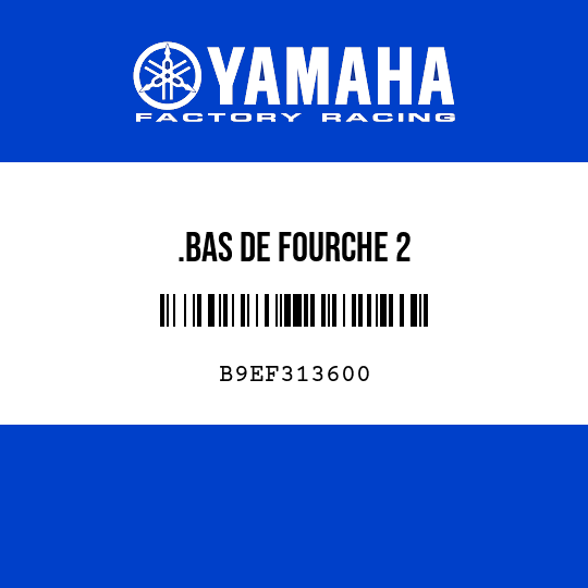 .BAS DE FOURCHE 2
