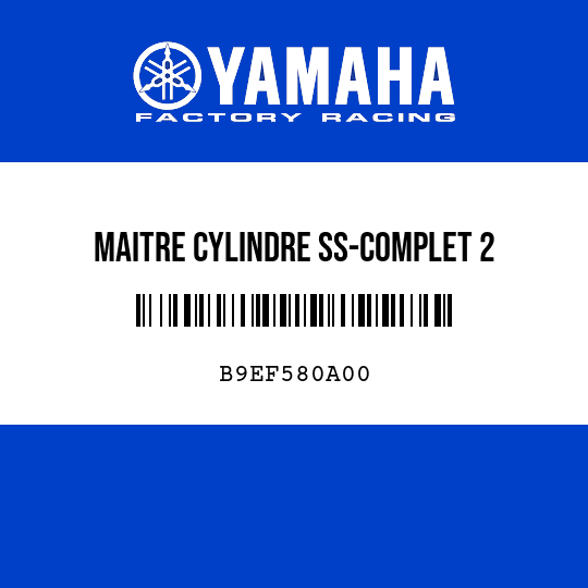 MAITRE CYLINDRE SS-COMPLET 2
