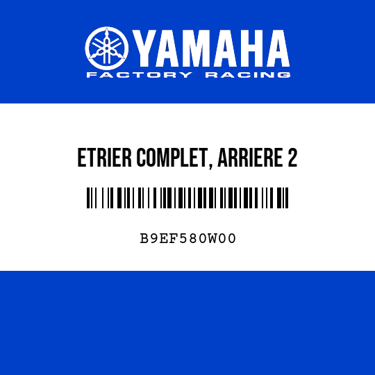 ETRIER COMPLET, ARRIERE 2
