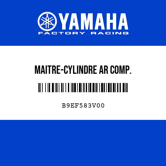 MAITRE-CYLINDRE AR COMP.