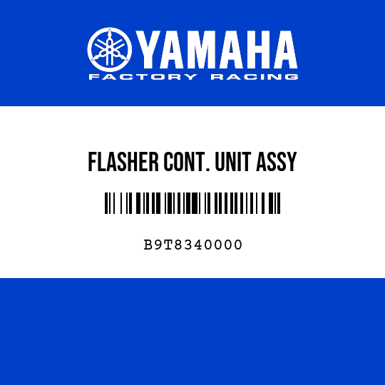 FLASHER CONT. UNIT ASSY