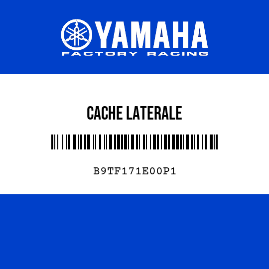CACHE LATERALE