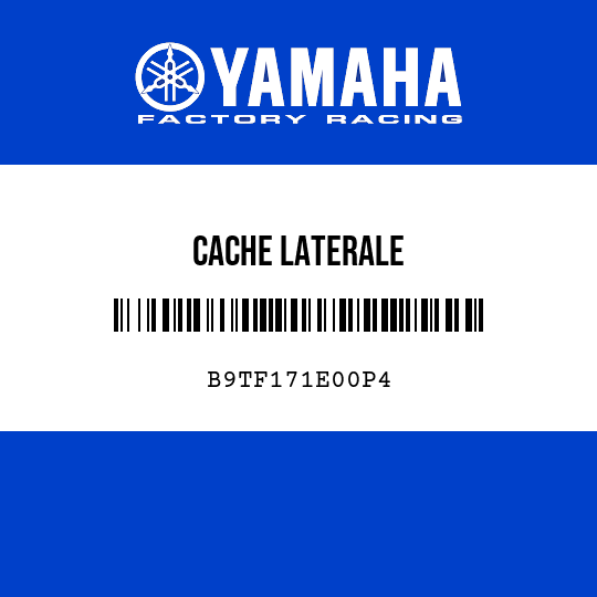 CACHE LATERALE